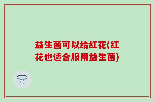 益生菌可以给红花(红花也适合服用益生菌)