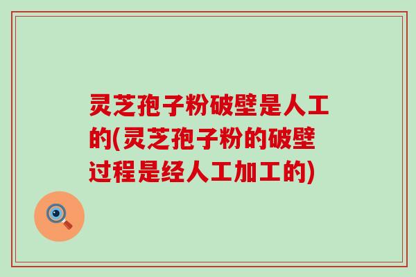 灵芝孢子粉破壁是人工的(灵芝孢子粉的破壁过程是经人工加工的)