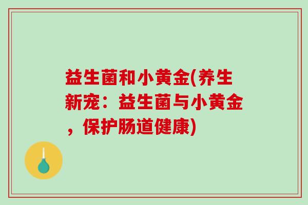 益生菌和小黄金(养生新宠：益生菌与小黄金，保护肠道健康)