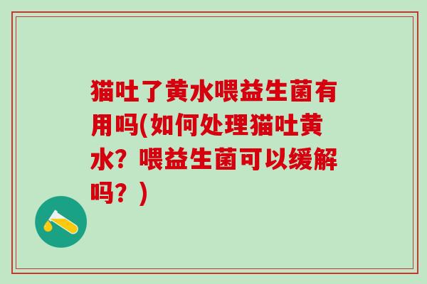 猫吐了黄水喂益生菌有用吗(如何处理猫吐黄水？喂益生菌可以缓解吗？)