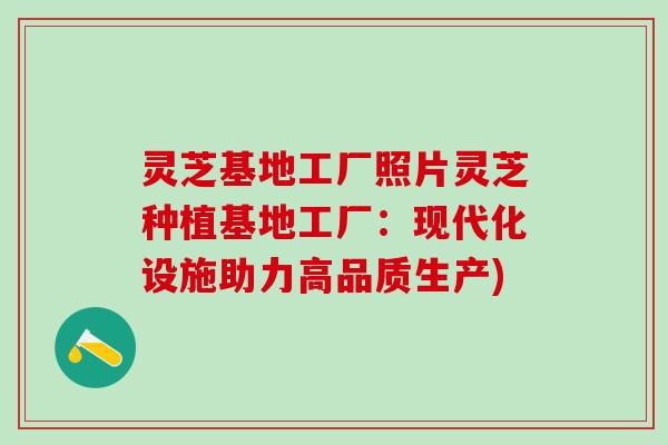 灵芝基地工厂照片灵芝种植基地工厂：现代化设施助力高品质生产)