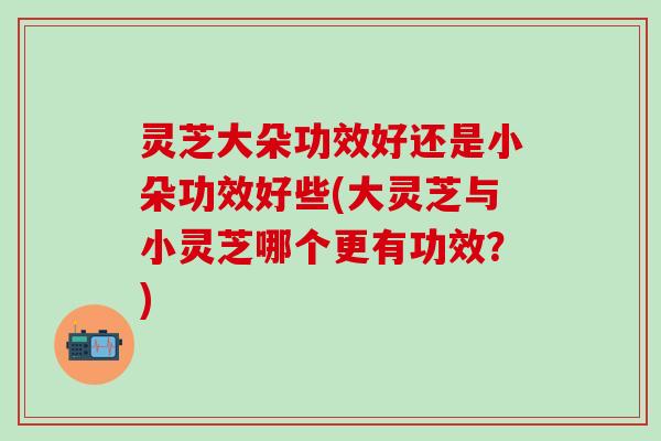 灵芝大朵功效好还是小朵功效好些(大灵芝与小灵芝哪个更有功效？)