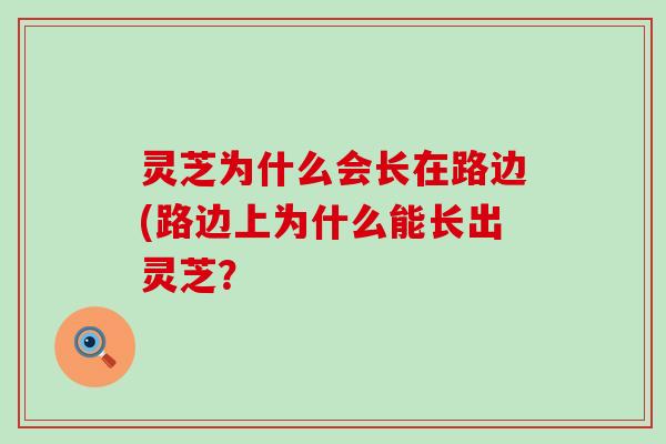 灵芝为什么会长在路边(路边上为什么能长出灵芝？