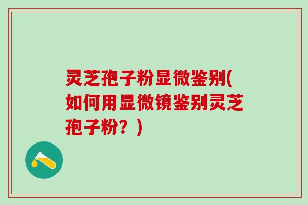灵芝孢子粉显微鉴别(如何用显微镜鉴别灵芝孢子粉？)