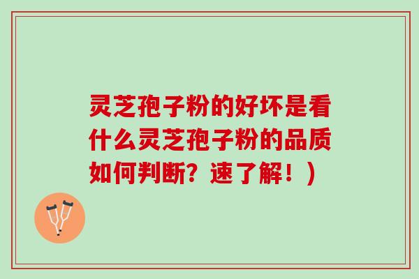 灵芝孢子粉的好坏是看什么灵芝孢子粉的品质如何判断？速了解！)