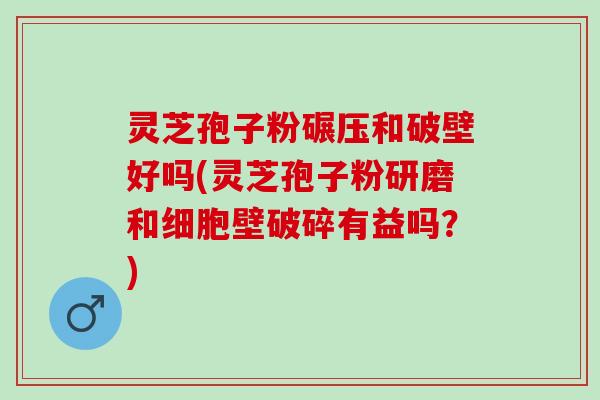 灵芝孢子粉碾压和破壁好吗(灵芝孢子粉研磨和细胞壁破碎有益吗？)