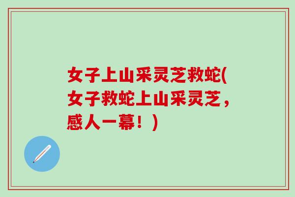 女子上山采灵芝救蛇(女子救蛇上山采灵芝，感人一幕！)