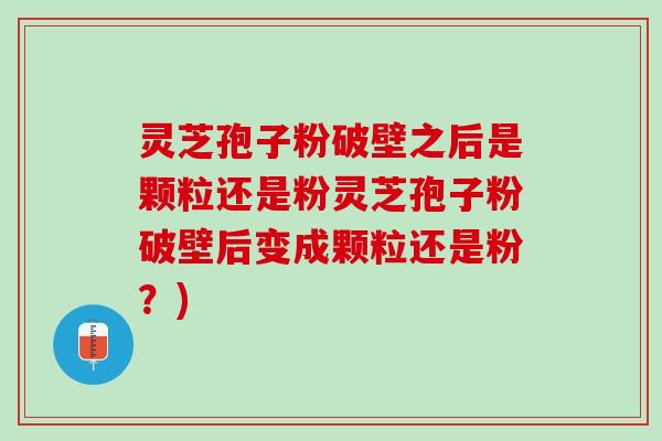 灵芝孢子粉破壁之后是颗粒还是粉灵芝孢子粉破壁后变成颗粒还是粉？)