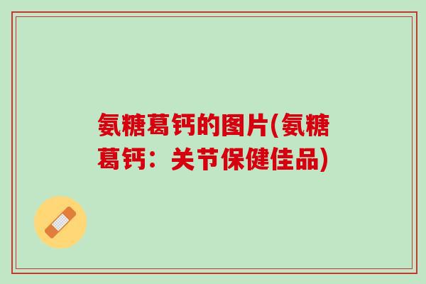 氨糖葛钙的图片(氨糖葛钙：关节保健佳品)