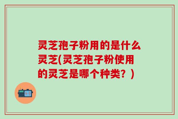 灵芝孢子粉用的是什么灵芝(灵芝孢子粉使用的灵芝是哪个种类？)