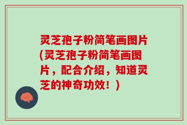 灵芝孢子粉简笔画图片(灵芝孢子粉简笔画图片，配合介绍，知道灵芝的神奇功效！)