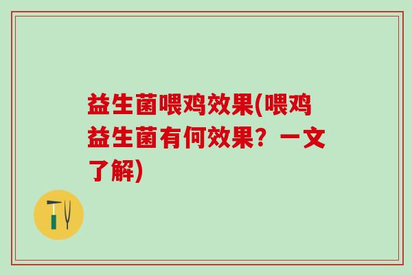益生菌喂鸡效果(喂鸡益生菌有何效果?一文了解) 益生菌喂鸡效果(喂鸡益生菌有何效果?一文了解)