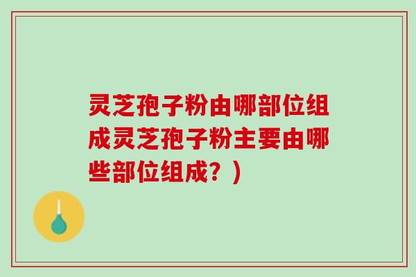 灵芝孢子粉由哪部位组成灵芝孢子粉主要由哪些部位组成？)