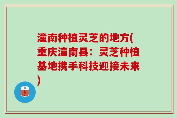 潼南种植灵芝的地方(重庆潼南县：灵芝种植基地携手科技迎接未来)