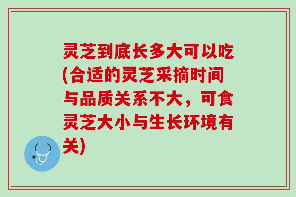 灵芝到底长多大可以吃(合适的灵芝采摘时间与品质关系不大，可食灵芝大小与生长环境有关)
