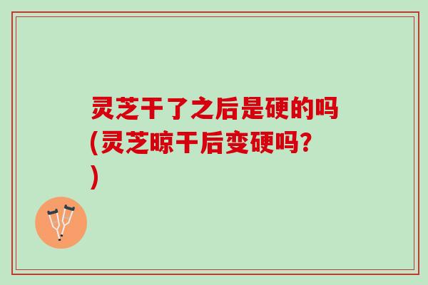 灵芝干了之后是硬的吗(灵芝晾干后变硬吗？)