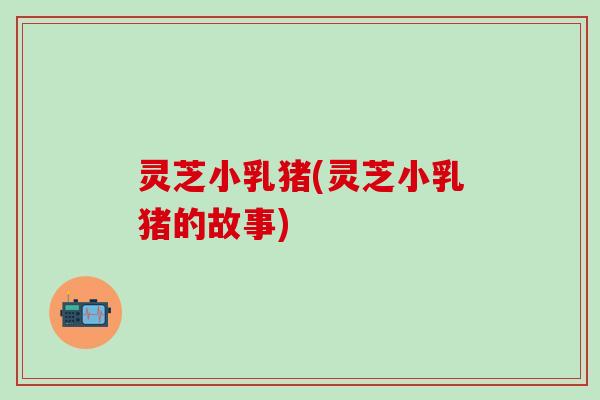 灵芝小乳猪(灵芝小乳猪的故事)