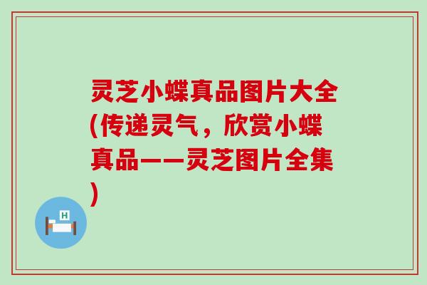灵芝小蝶真品图片大全(传递灵气，欣赏小蝶真品——灵芝图片全集)
