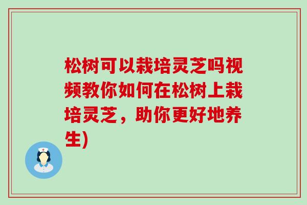 松树可以栽培灵芝吗视频教你如何在松树上栽培灵芝，助你更好地养生)