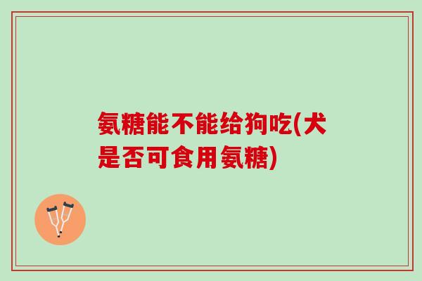 氨糖能不能给狗吃(犬是否可食用氨糖)