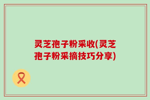 灵芝孢子粉采收(灵芝孢子粉采摘技巧分享)