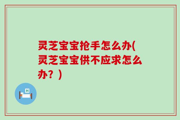 灵芝宝宝抢手怎么办(灵芝宝宝供不应求怎么办？)