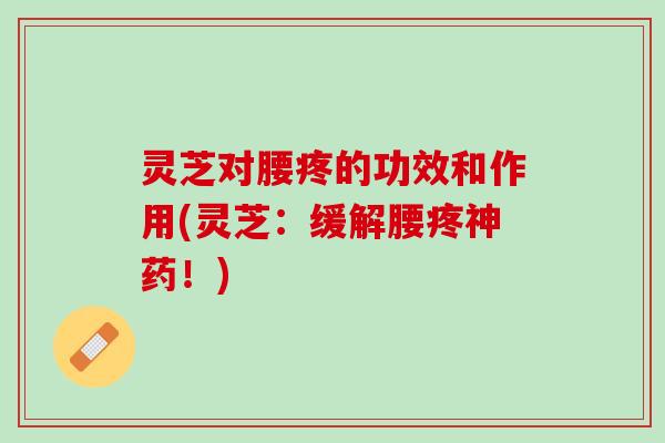 灵芝对腰疼的功效和作用(灵芝：缓解腰疼神药！)