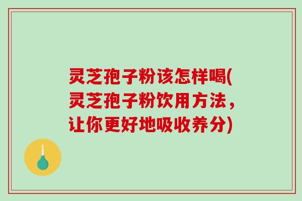 灵芝孢子粉该怎样喝(灵芝孢子粉饮用方法，让你更好地吸收养分)