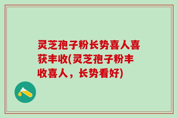 灵芝孢子粉长势喜人喜获丰收(灵芝孢子粉丰收喜人，长势看好)