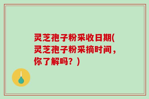 灵芝孢子粉采收日期(灵芝孢子粉采摘时间，你了解吗？)