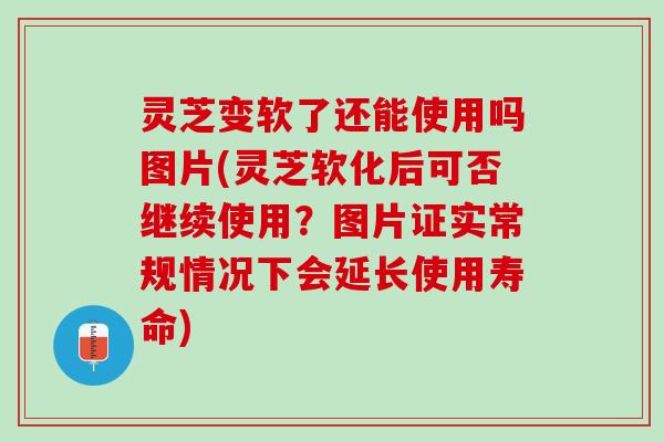 灵芝变软了还能使用吗图片(灵芝软化后可否继续使用？图片证实常规情况下会延长使用寿命)