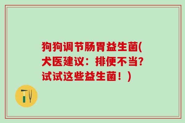 狗狗调节肠胃益生菌(犬医建议：排便不当？试试这些益生菌！)