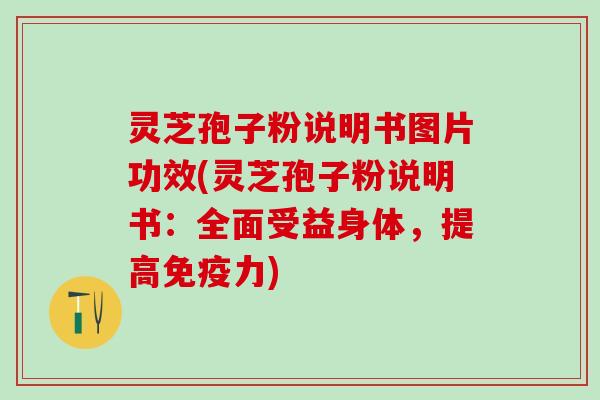 灵芝孢子粉说明书图片功效(灵芝孢子粉说明书：全面受益身体，提高免疫力)