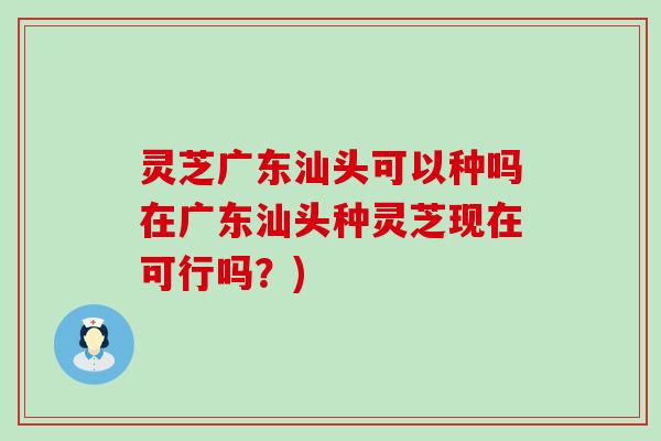灵芝广东汕头可以种吗在广东汕头种灵芝现在可行吗？)