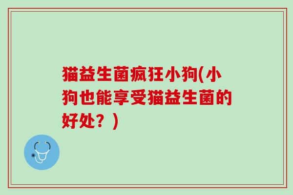 猫益生菌疯狂小狗(小狗也能享受猫益生菌的好处？)