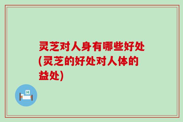 灵芝对人身有哪些好处(灵芝的好处对人体的益处)