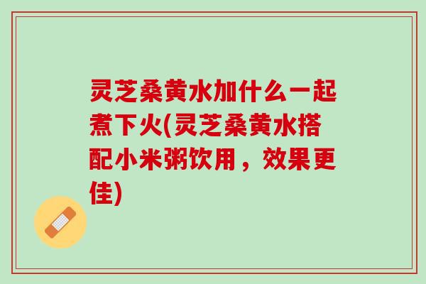 灵芝桑黄水加什么一起煮下火(灵芝桑黄水搭配小米粥饮用，效果更佳)