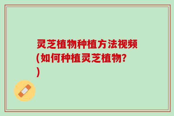 灵芝植物种植方法视频(如何种植灵芝植物？)