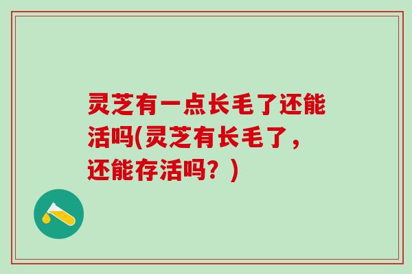 灵芝有一点长毛了还能活吗(灵芝有长毛了，还能存活吗？)