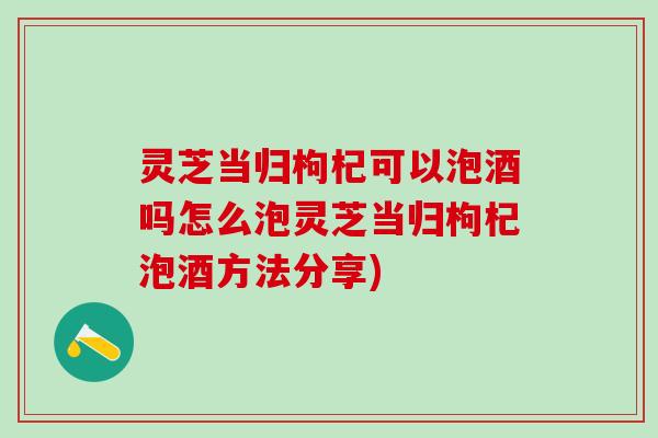 灵芝当归枸杞可以泡酒吗怎么泡灵芝当归枸杞泡酒方法分享)