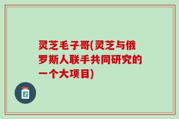 灵芝毛子哥(灵芝与俄罗斯人联手共同研究的一个大项目)