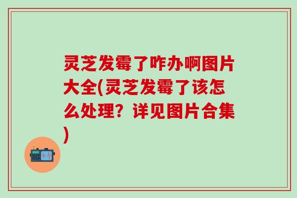 灵芝发霉了咋办啊图片大全(灵芝发霉了该怎么处理？详见图片合集)