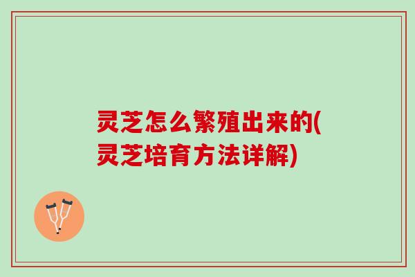 灵芝怎么繁殖出来的(灵芝培育方法详解)