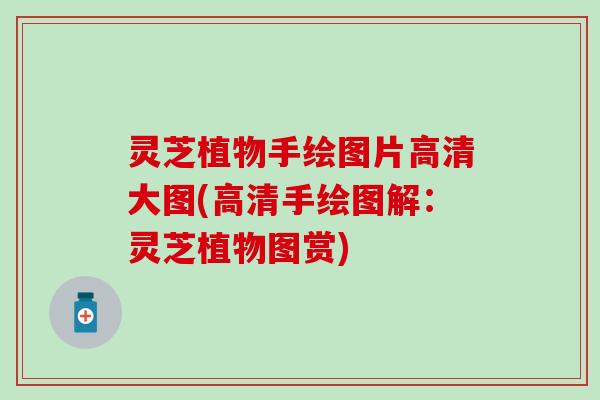 灵芝植物手绘图片高清大图(高清手绘图解：灵芝植物图赏)