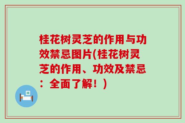 桂花树灵芝的作用与功效禁忌图片(桂花树灵芝的作用、功效及禁忌：全面了解！)