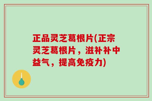 正品灵芝葛根片(正宗灵芝葛根片，滋补补中益气，提高免疫力)