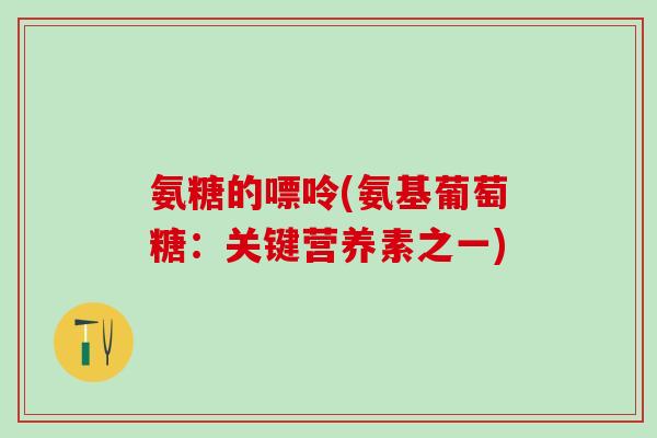 氨糖的嘌呤(氨基葡萄糖：关键营养素之一)