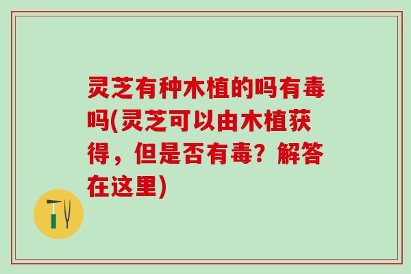 灵芝有种木植的吗有毒吗(灵芝可以由木植获得，但是否有毒？解答在这里)
