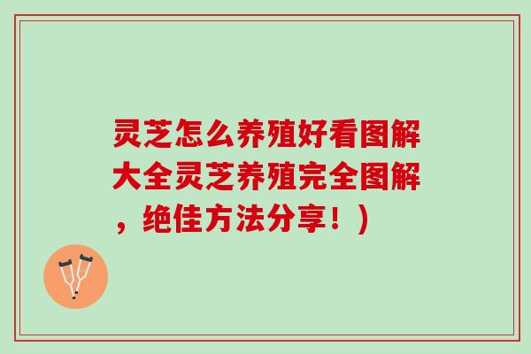 灵芝怎么养殖好看图解大全灵芝养殖完全图解，绝佳方法分享！)