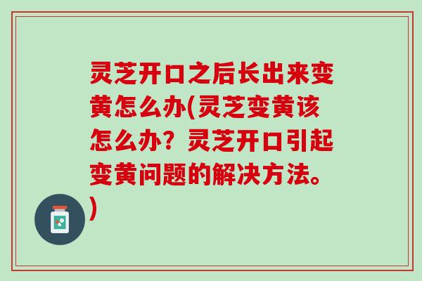 灵芝开口之后长出来变黄怎么办(灵芝变黄该怎么办？灵芝开口引起变黄问题的解决方法。)